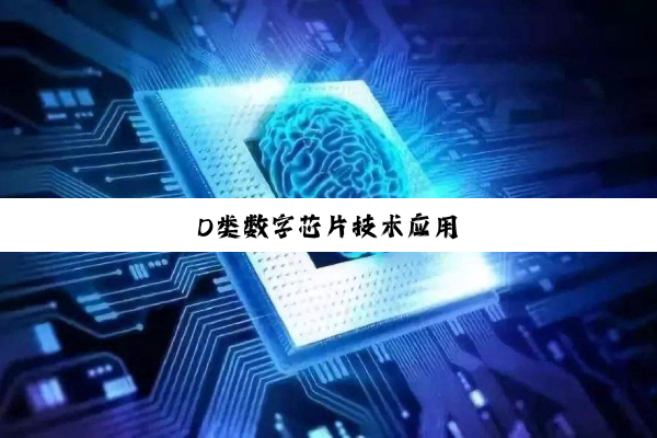 D类数字芯片技术应用