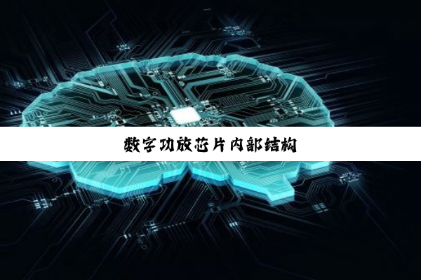 数字功放芯片内部结构