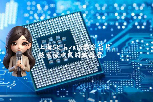 上海SK hynix数字芯片：技术深水区的破局者